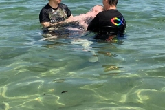 54729062_2107190862689863_4325007925060829184_o