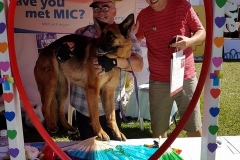 26733869_1550915161650772_8884542409442202078_n